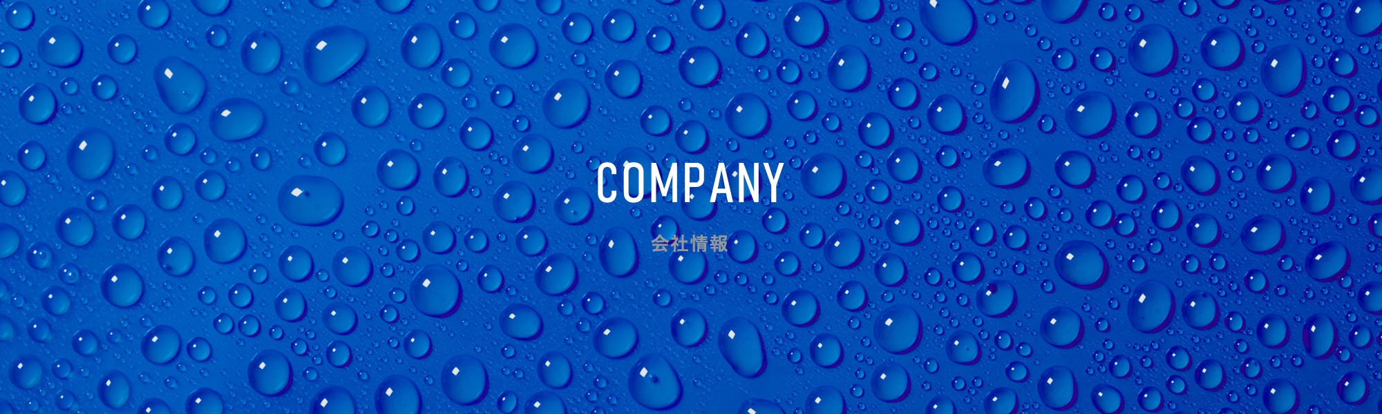 COMPANY　会社情報