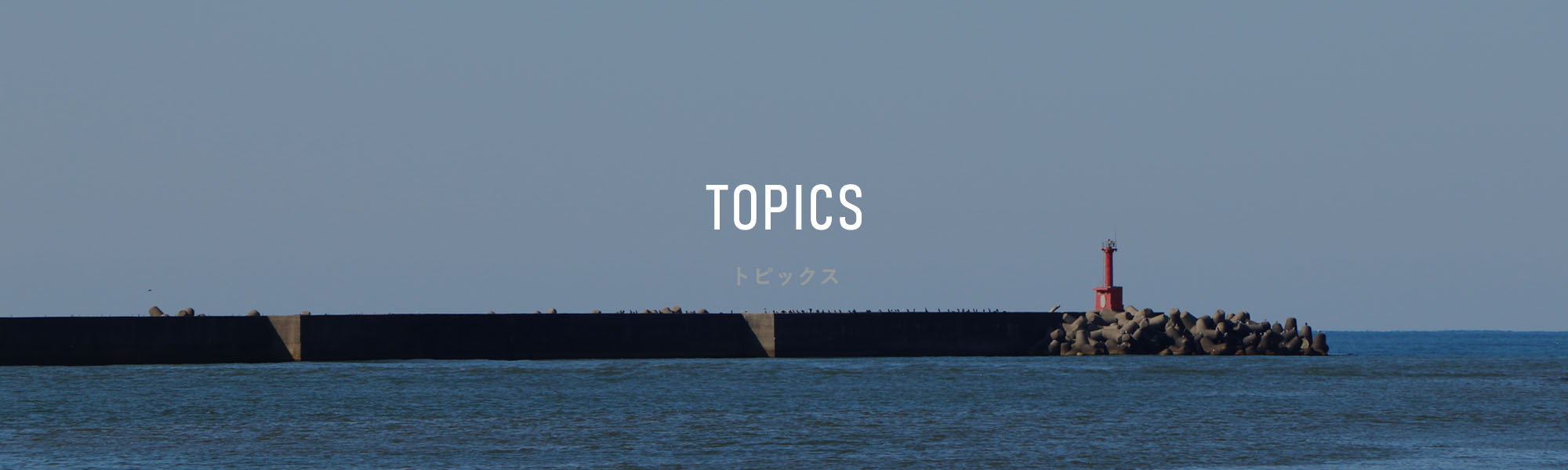 TOPICS　トピックス